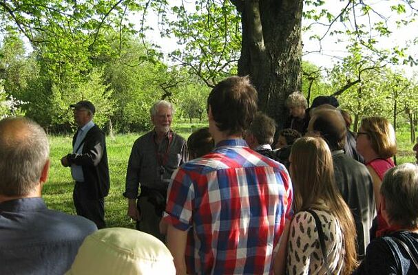 2019_Volkach_Vogelstimmenexkursion Menschen vor einem Baum und dem Vogelstimmenexperten